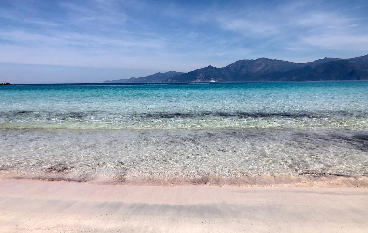 Studio, Vue Sur Mer Et Montagne Saint-Florent  Exterior photo