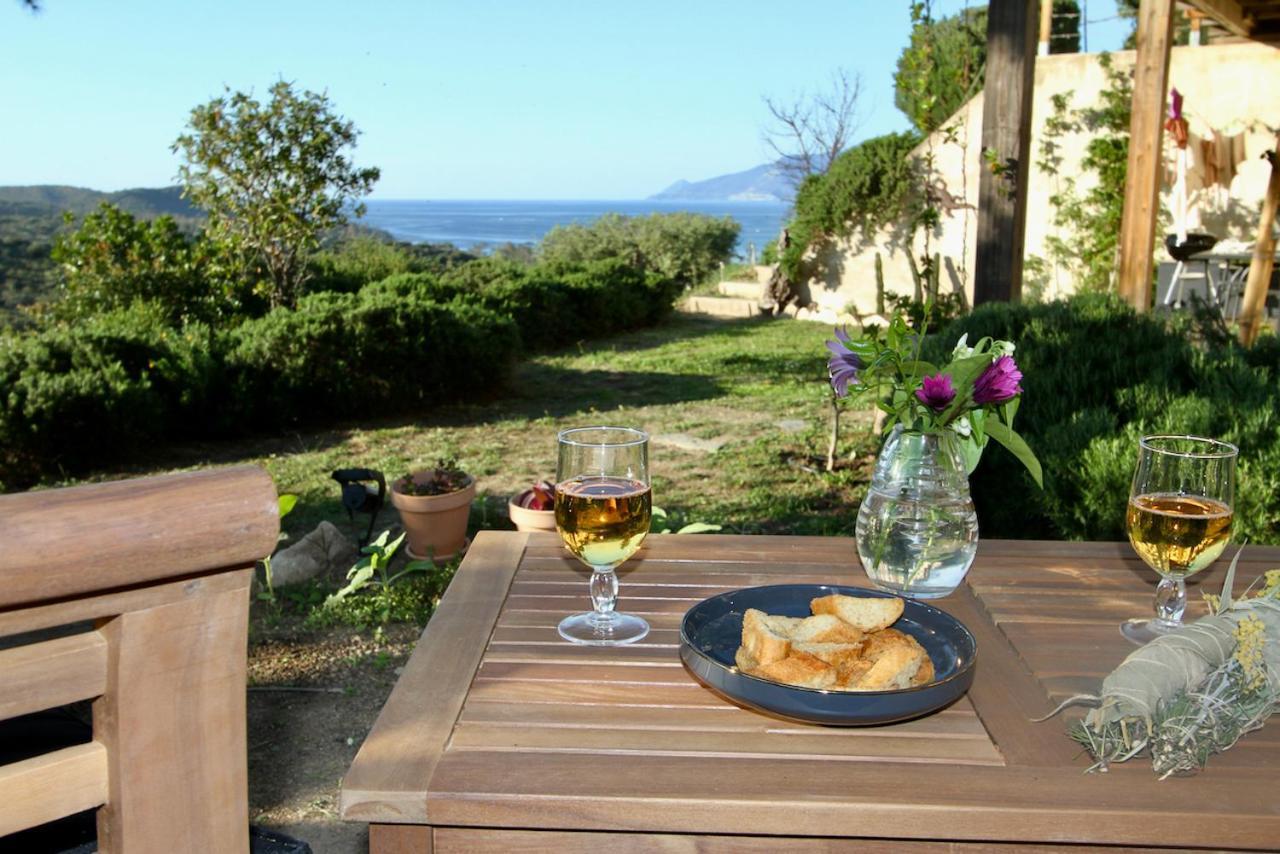 Studio, Vue Sur Mer Et Montagne Saint-Florent  Exterior photo